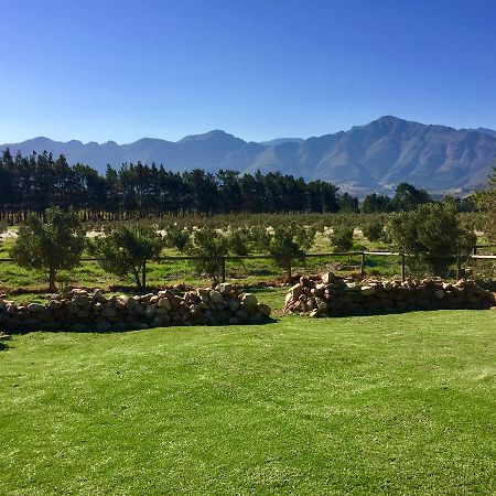 Olive Cottage Franschhoek Exteriör bild