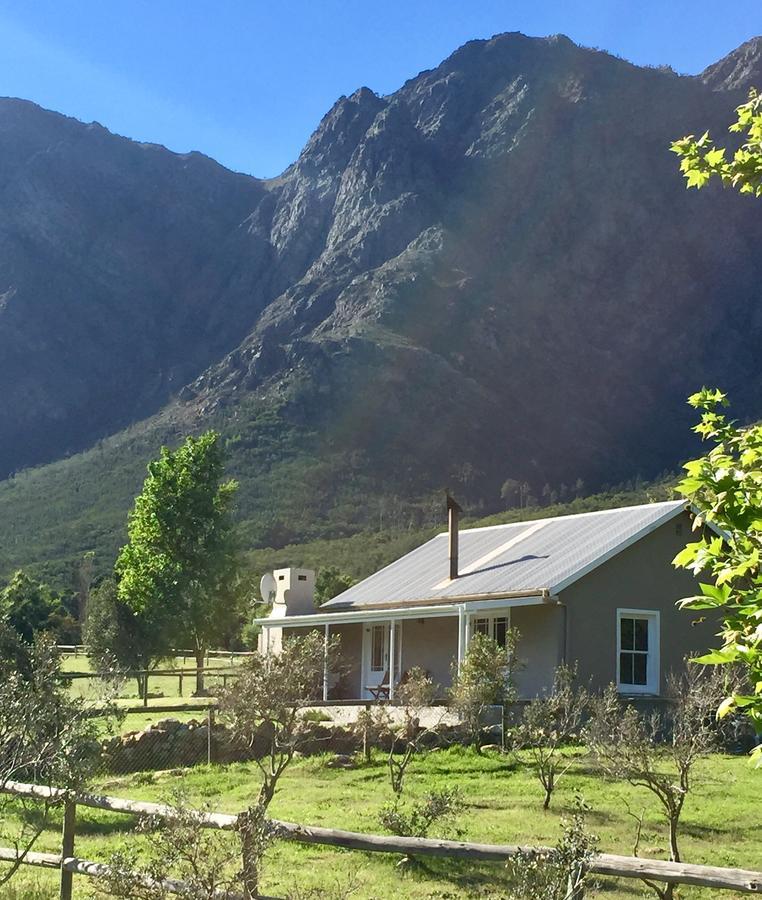 Olive Cottage Franschhoek Exteriör bild
